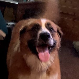 Meet your Posher, Becky